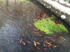 -水磨沟公园