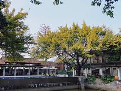 -喜洲吧·江畔老船厂·庭院餐厅(喜临院店)