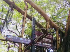 -鼓浪屿内厝澳码头(轮渡站)