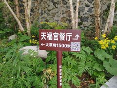 -白草畔自然风景区