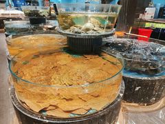 -百姓渔村(南中环店)