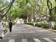-厦门大学(思明校区)