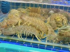 -大东海海鲜酒楼(渔人码头总店)