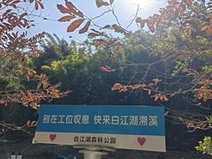 -广州白江湖森林公园