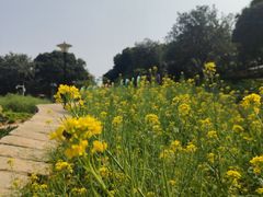 -天河儿童公园