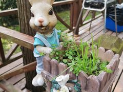 -崇明东平国家森林公园烧烤房车露营地