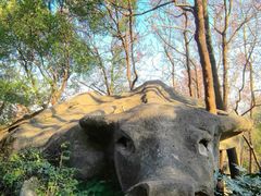 -中国茶叶博物馆(双峰馆区)