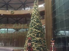 -上海滴水湖皇冠假日酒店