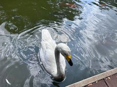 -海南热带野生动植物园