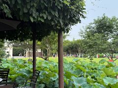-洪湖家庭农场·团建·露营·会议
