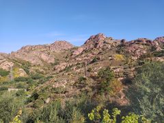 -红山国家森林公园