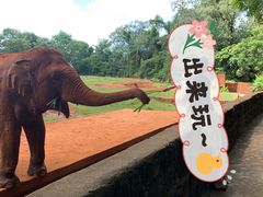 -海南热带野生动植物园