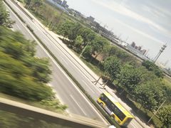 -星伦多 自助料理(圆融店)