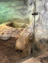 -Zoolung Zoolung动物主题公园(海信广场店)