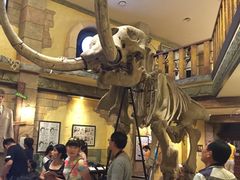 -信不信由你博物馆