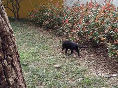 -苏州卫生职业技术学院(石湖校区)