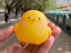 -同仁四季椰子鸡(福田车公庙店)