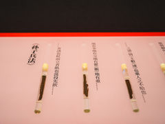 -银雀山汉墓竹简博物馆