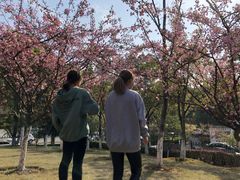 -孝子祠公园