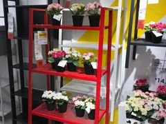 -宜家家居(哈尔滨商场店)