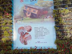 -金山农民画村-枫泾波兰倒置屋