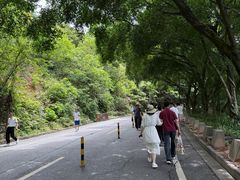 -大雁山风景区