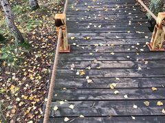 -塞罕坝国家级自然保护区