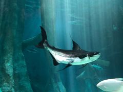 -福州罗源湾海洋世界旅游区