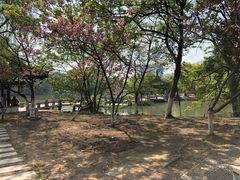 -南通濠河风景名胜区