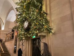 -The Wolseley