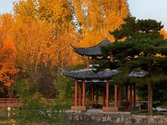 -黑龙江省森林植物园