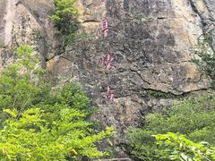 -伍山石窟