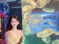 -左海海底世界