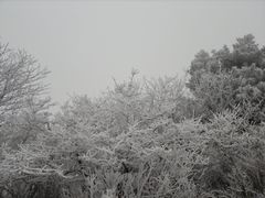 -安吉龙王山风景区