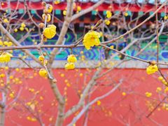 -即墨古城
