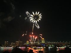 -台场海滨公园船码头