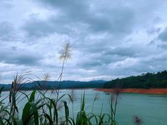 -广州市流溪河国家森林公园