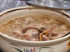 -鸽鸟轩(石岐店)