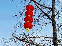 -食膳公园包子铺(烈士公园店)