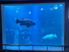 -太平洋海底世界