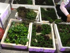 -华声天桥民俗文化园