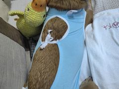 -达爱动物医院·犬猫分区·CT·复杂眼科(远洋山水分院)