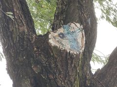 -天鹅湖体育公园