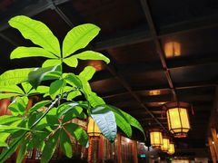 -万柳阁小馆·花园餐厅(龙潭湖店)