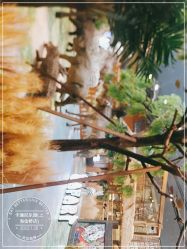 点击看大图 -卡通尼·Safari非洲探索乐园·生日会(金桥国际商业广场店)