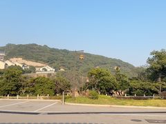 -普陀山风景区-佛顶山
