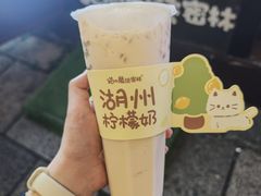 -猫的魔法密林(衣裳街店)