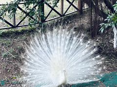 -乐和乐都主题乐园