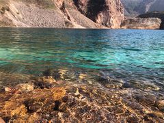 -树山生态村