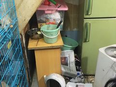 -康成宠物医院24H·CT·核磁共振